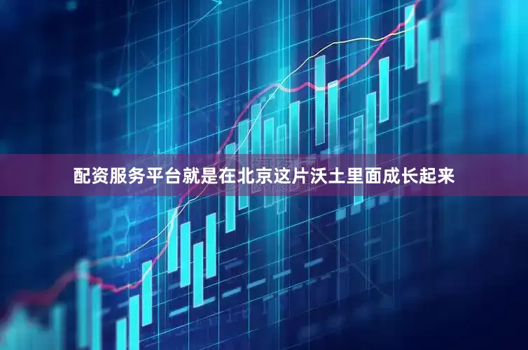 配资服务平台就是在北京这片沃土里面成长起来
