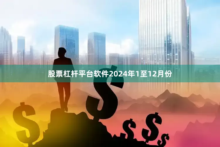 股票杠杆平台软件　　2024年1至12月份